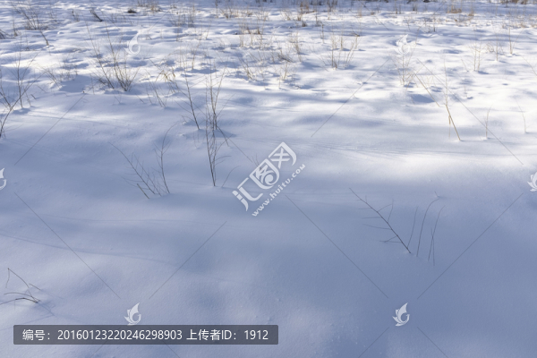 雪景