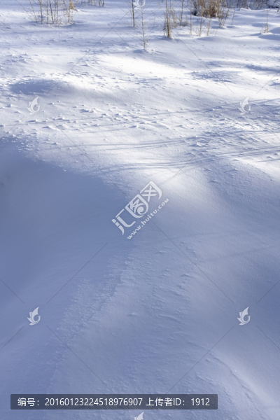 雪地
