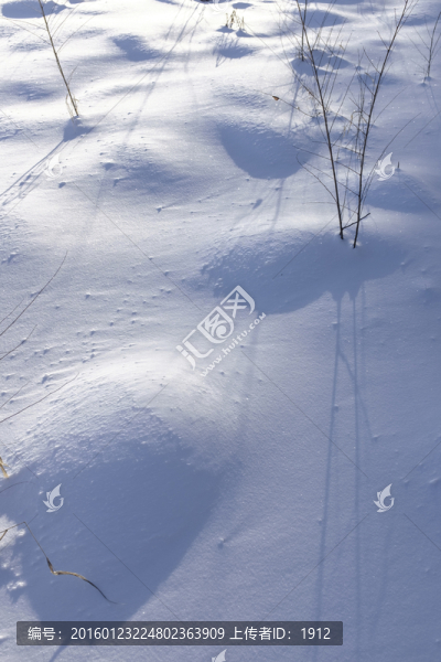 雪地
