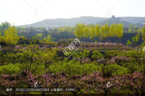 田園風(fēng)光