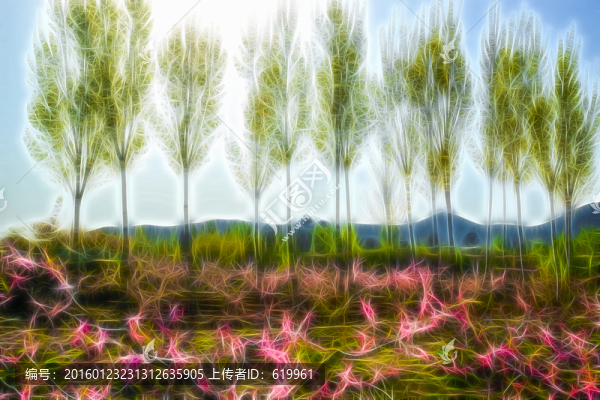 楊樹林,裝飾畫