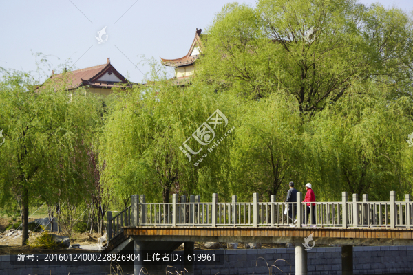 公園,翠柳,木橋