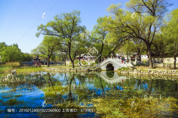 公園春色