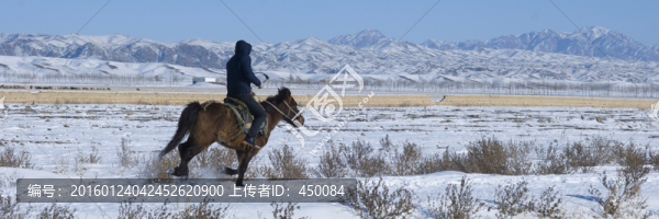 賽馬