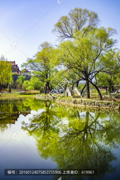 公園春色