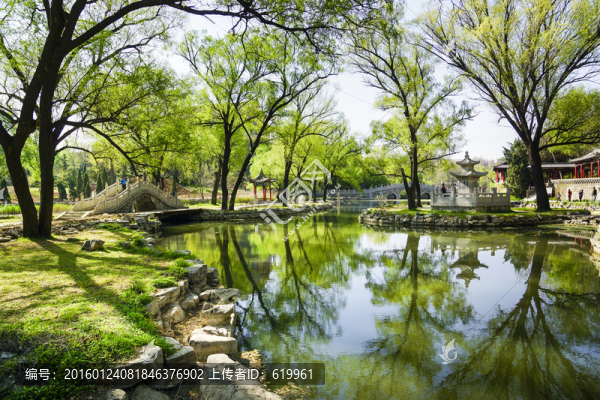 公園春色