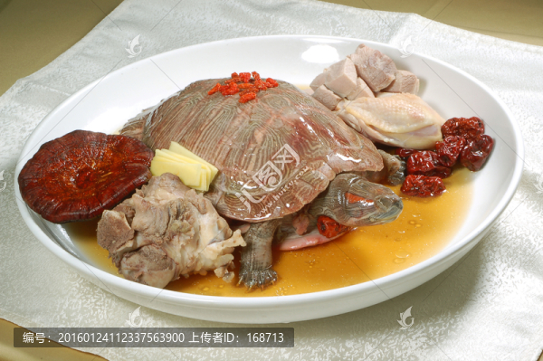 野生靈芝燉老龜