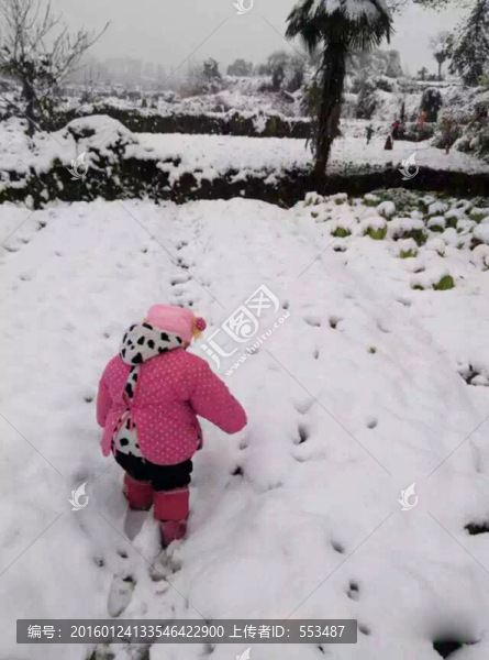 雪娃