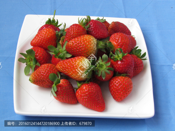 新鮮草莓