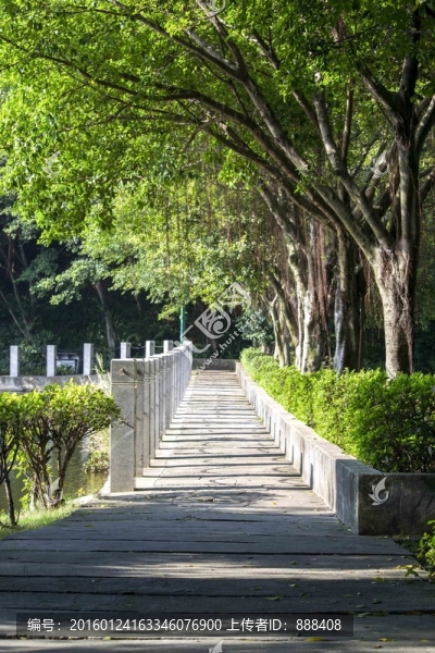 小路