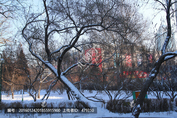 哈爾濱,道里,廣場,斯大林公園