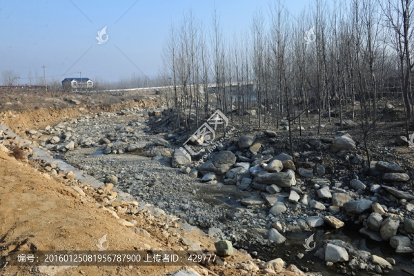 河道,小溪