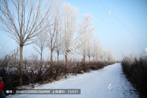 雪景,藍(lán)天,霧凇
