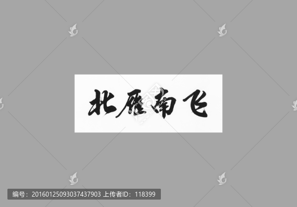 北雁南飛