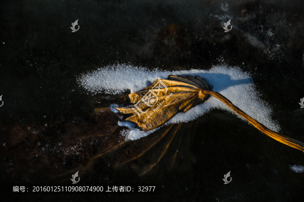 裝飾畫