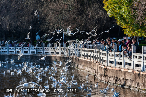 昆明翠湖公園