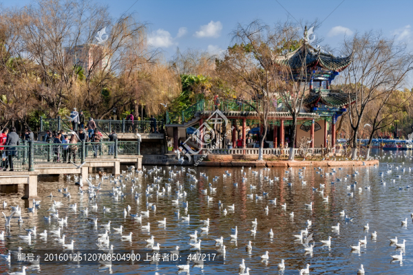 昆明翠湖公園