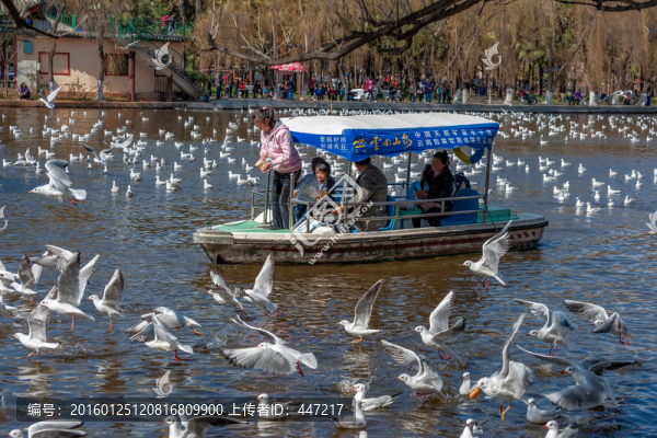 昆明翠湖公園