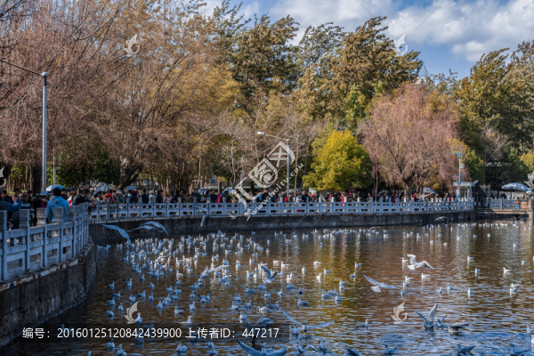昆明翠湖公園