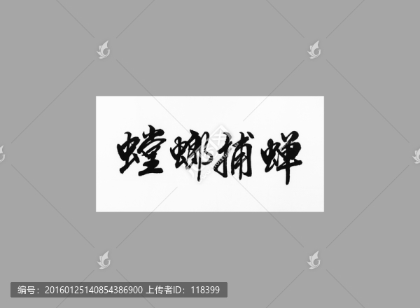 螳螂捕蟬