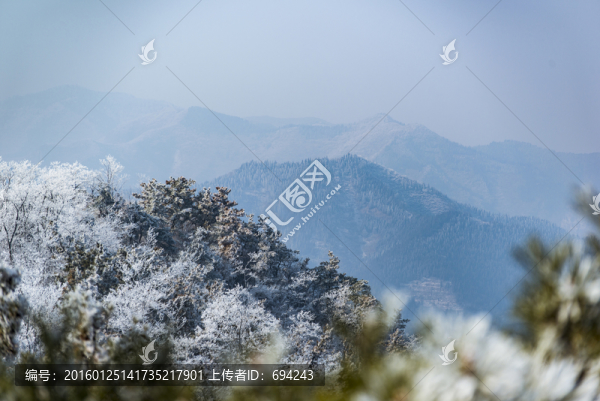仰天山霧淞,冬,雪,霧淞,霧