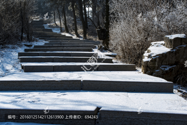 仰天山霧淞,冬,雪,霧淞,霧