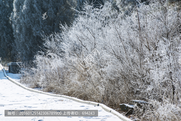 仰天山霧淞,冬,雪,霧淞,霧