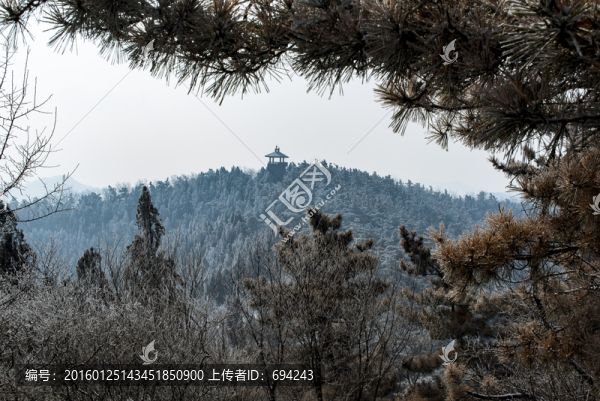 仰天山霧淞,冬,雪,霧淞,霧