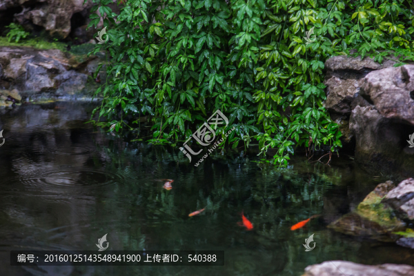魚水情深