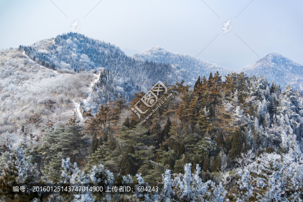 仰天山霧淞,冬,雪,霧淞,霧