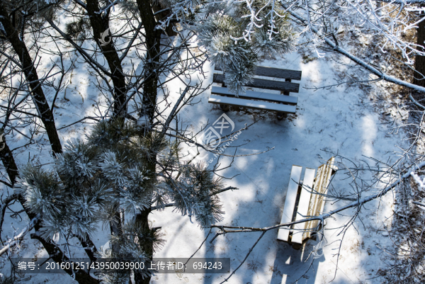 仰天山霧淞,冬,雪,霧淞,霧