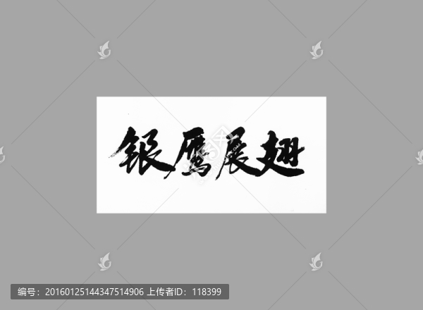 銀鷹展翅
