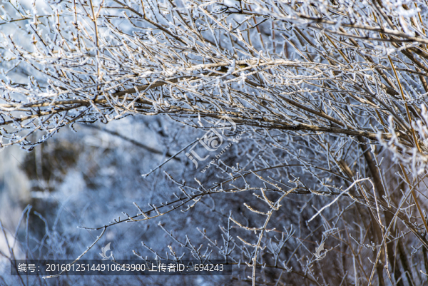 仰天山霧淞,冬,雪,霧淞,霧