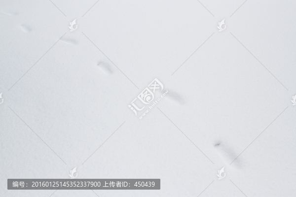 雪地腳印
