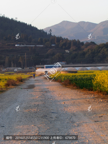 鄉(xiāng)間小路