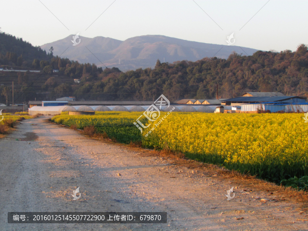 土路