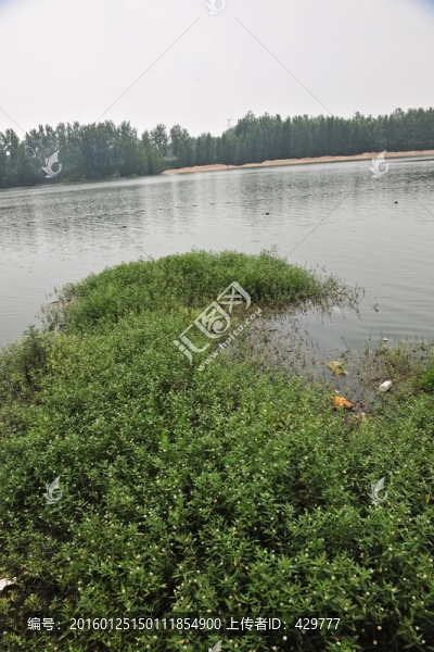濕地,河岸風(fēng)景
