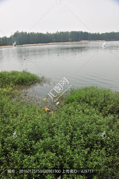 河岸風景
