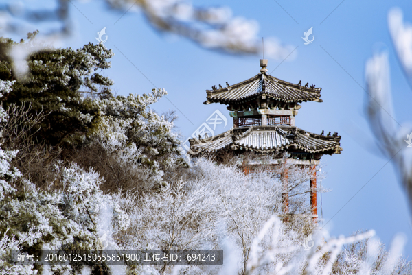 仰天山霧淞,冬,雪,霧淞