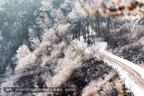 仰天山霧淞,冬,雪,霧淞