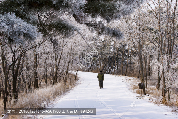 仰天山霧淞,冬,雪,霧淞