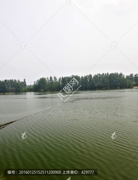 湖面,捕魚(yú),漁業(yè)