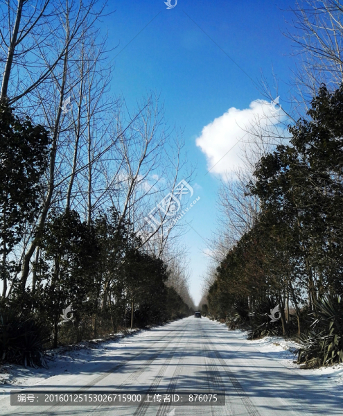 鄉(xiāng)村公路雪景