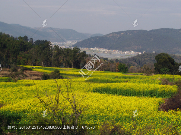 山?jīng)_