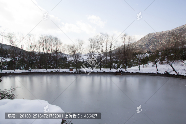 雪地美景