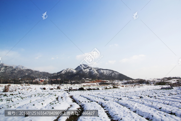 下雪天農(nóng)田雪地積雪