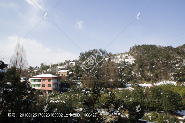 雪景,樹(shù)枝,藍(lán)天,小屋