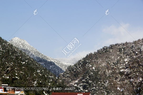 鄉(xiāng)村雪景,山岳,藍(lán)天白云樹