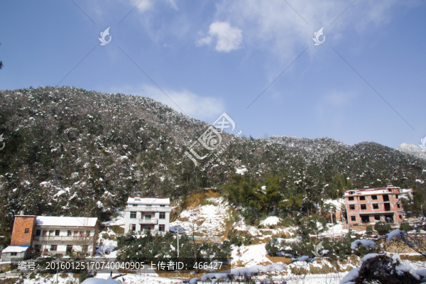鄉(xiāng)村雪景,山岳,藍天白云樹