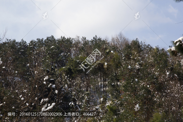 鄉(xiāng)村雪景,山岳,藍天白云樹